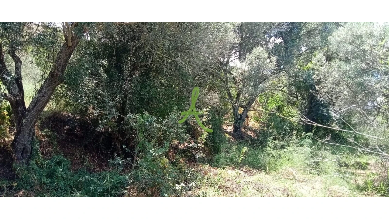 Terreno para Venda em São Bartolomeu de Messines Foto 3