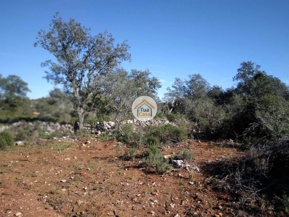 Terreno para Venda em São Brás de Alportel Foto 3