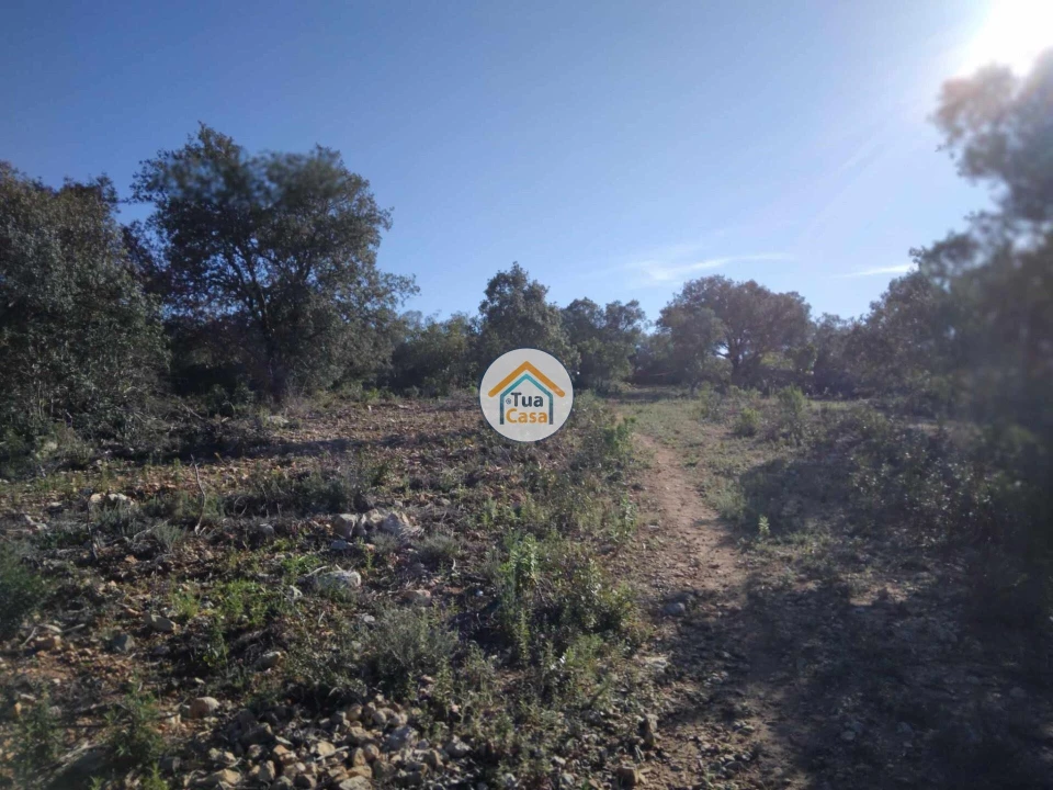 Terreno para Venda em São Brás de Alportel Foto 14
