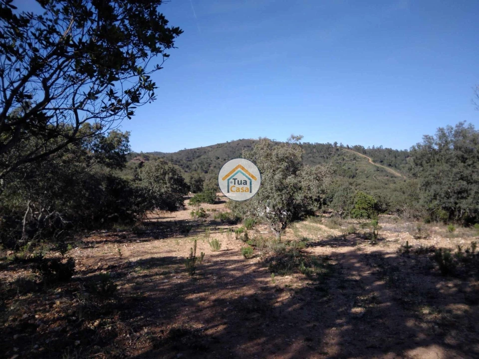 Terreno para Venda em São Brás de Alportel Foto 6