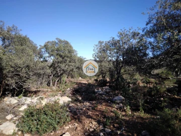 Terreno para Venda em São Brás de Alportel
