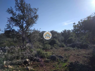 Terreno para Venda em São Brás de Alportel