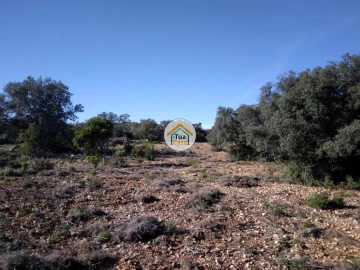 Terreno para Venda em São Brás de Alportel