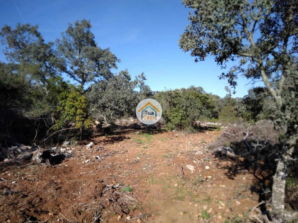 Terreno para Venda em São Brás de Alportel Foto 1