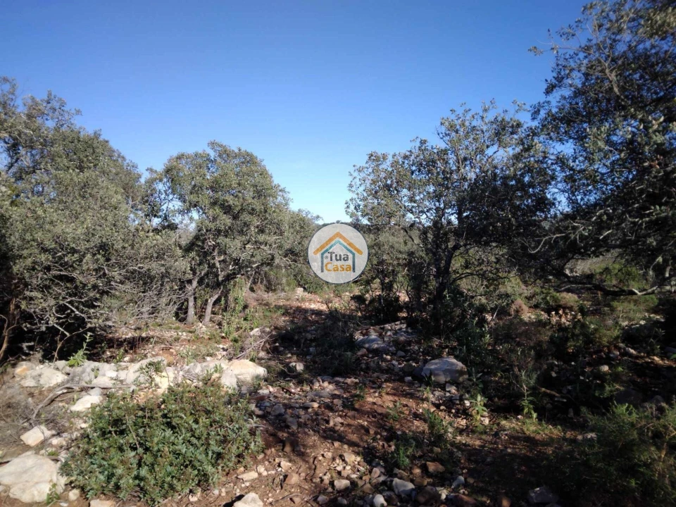 Terreno para Venda em São Brás de Alportel Foto 8