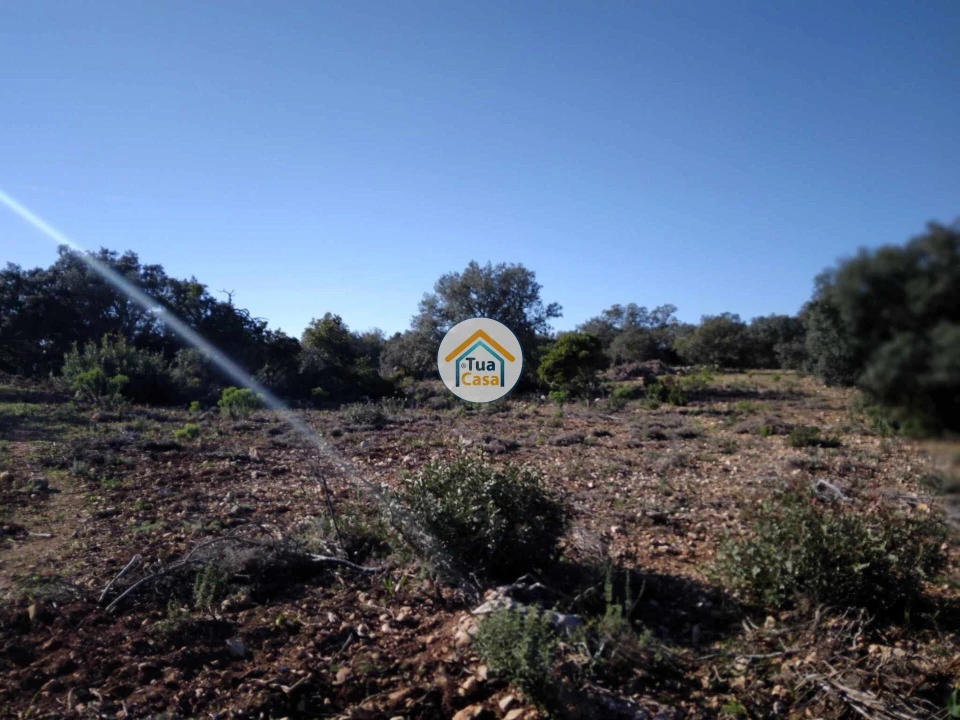Terreno para Venda em São Brás de Alportel Foto 13