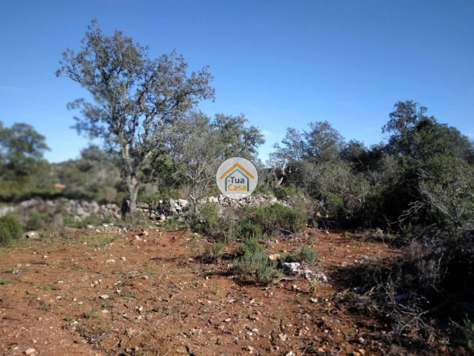 Terreno para Venda em São Brás de Alportel Foto 3
