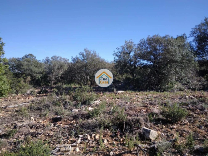 Terreno para Venda em São Brás de Alportel Foto 15
