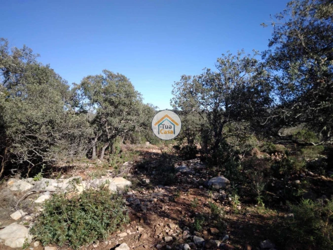 Terreno para Venda em São Brás de Alportel Foto 8