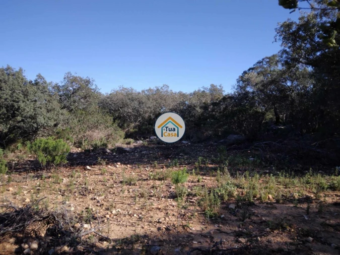 Terreno para Venda em São Brás de Alportel Foto 12