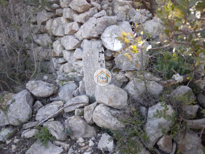 Terreno para Venda em São Brás de Alportel Foto 16