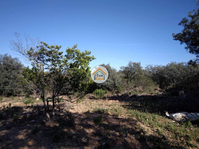 Terreno para Venda em São Brás de Alportel Foto 9