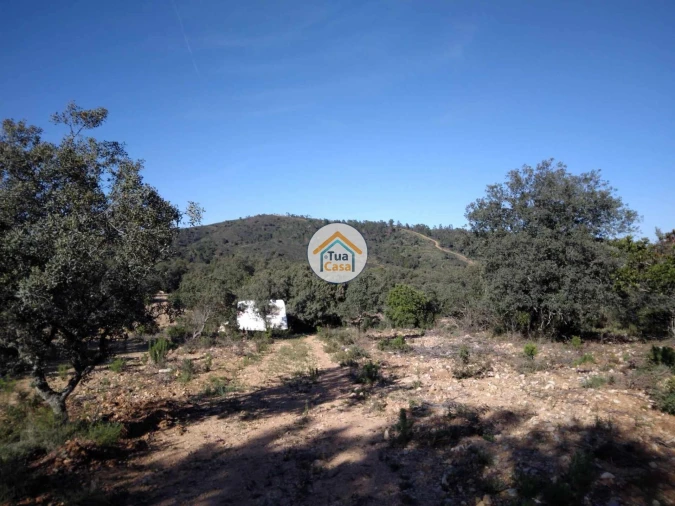 Terreno para Venda em São Brás de Alportel Foto 4