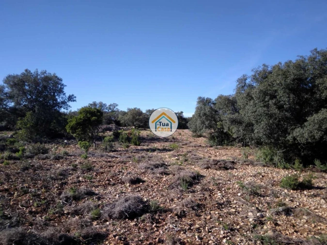 Terreno para Venda em São Brás de Alportel Foto 11