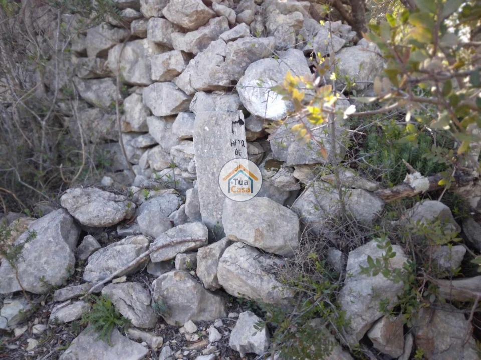 Terreno para Venda em São Brás de Alportel Foto 16