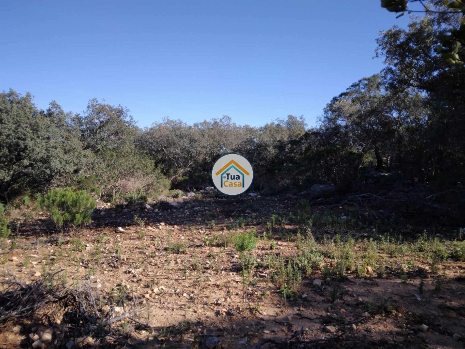 Terreno para Venda em São Brás de Alportel Foto 5