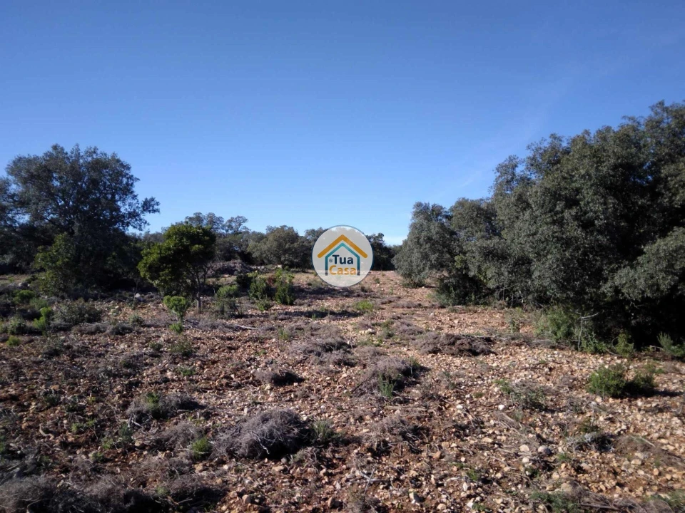 Terreno para Venda em São Brás de Alportel Foto 11