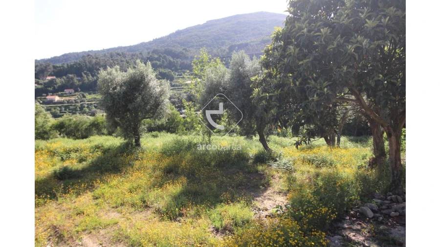 Moradia T4 para Venda em Labruja Foto 51