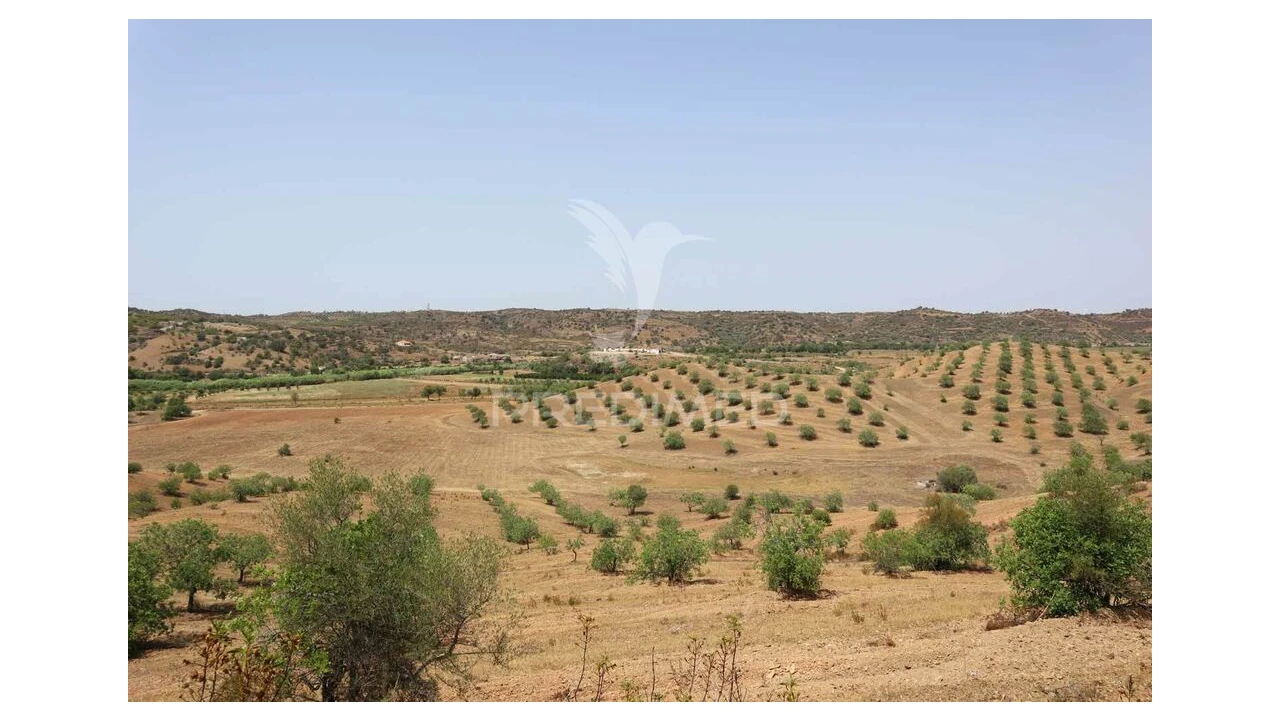 Terreno para Venda em Castro Marim Foto 17