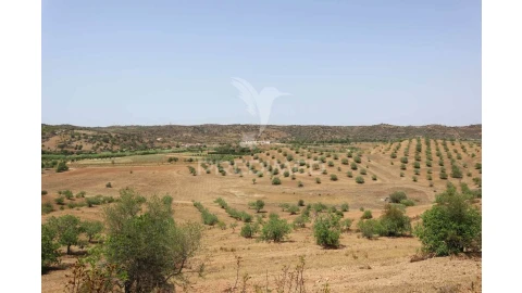 Terreno para Venda em Castro Marim