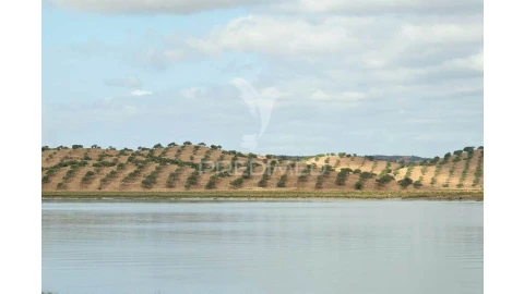 Terreno para Venda em Castro Marim