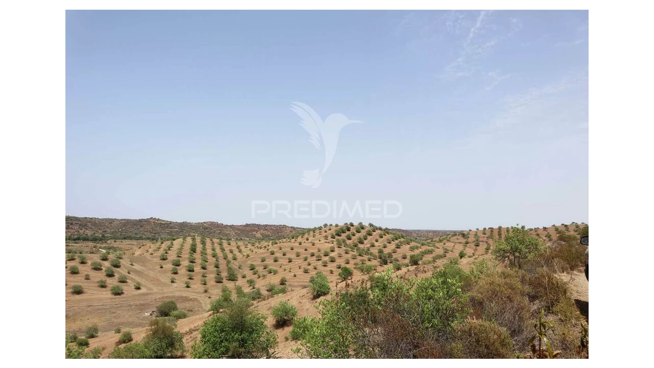 Terreno para Venda em Castro Marim Foto 20
