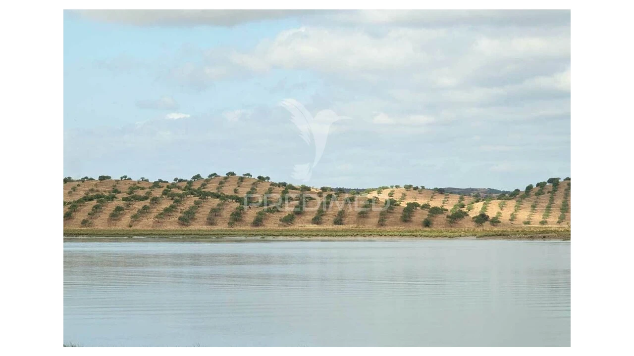 Terreno para Venda em Castro Marim Foto 5