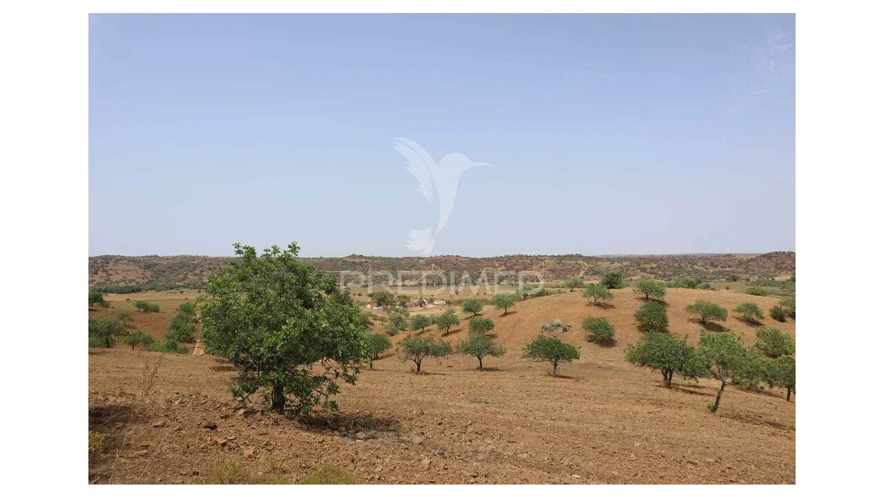 Terreno para Venda em Castro Marim Foto 19
