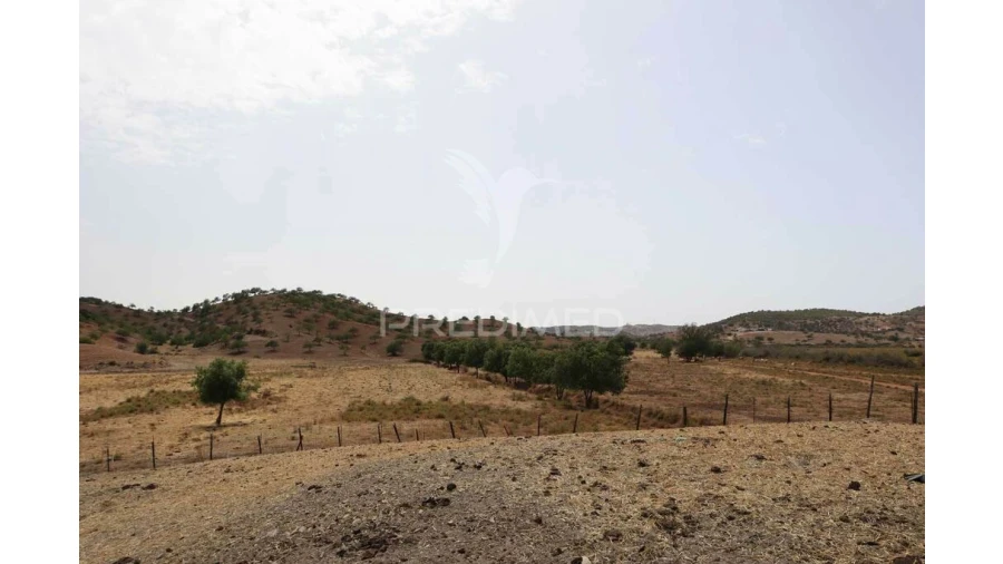 Terreno para Venda em Castro Marim Foto 12