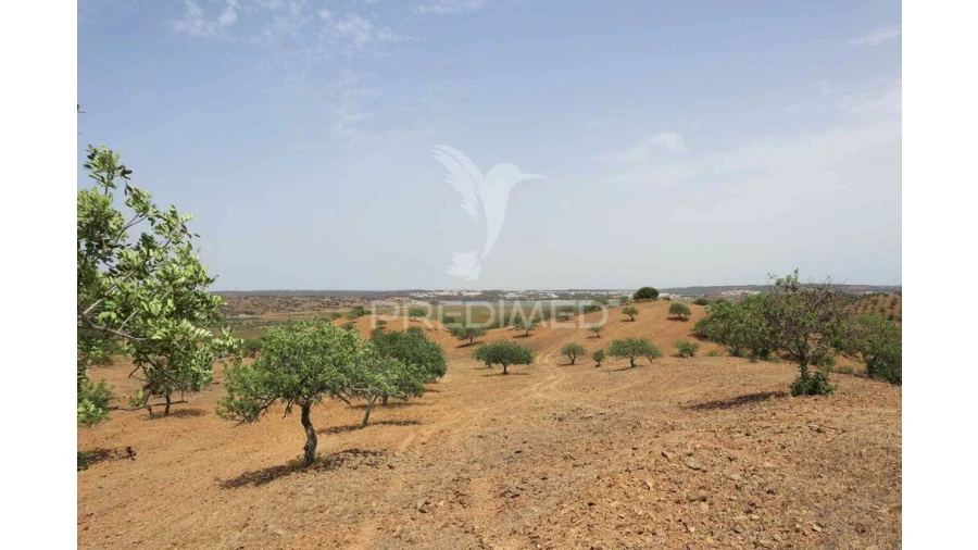 Terreno para Venda em Castro Marim Foto 9