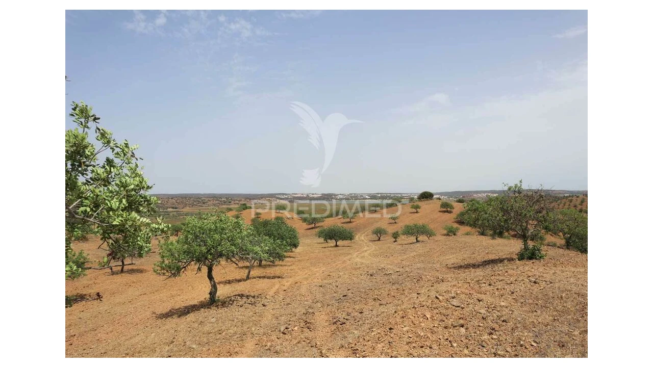 Terreno para Venda em Castro Marim Foto 9