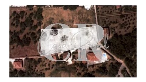 Terreno para Venda em Figueiró dos Vinhos e Bairradas