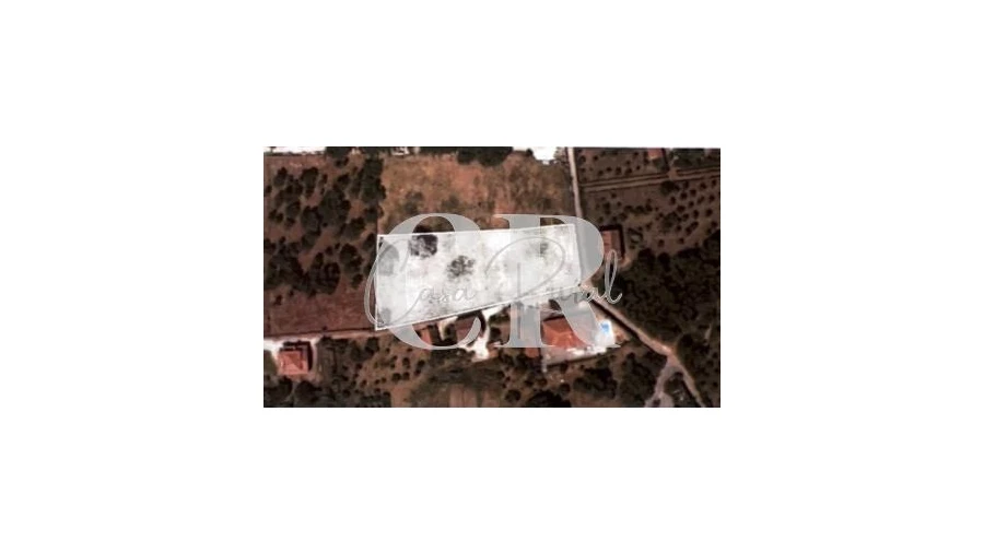 Terreno para Venda em Figueiró dos Vinhos e Bairradas Foto 4