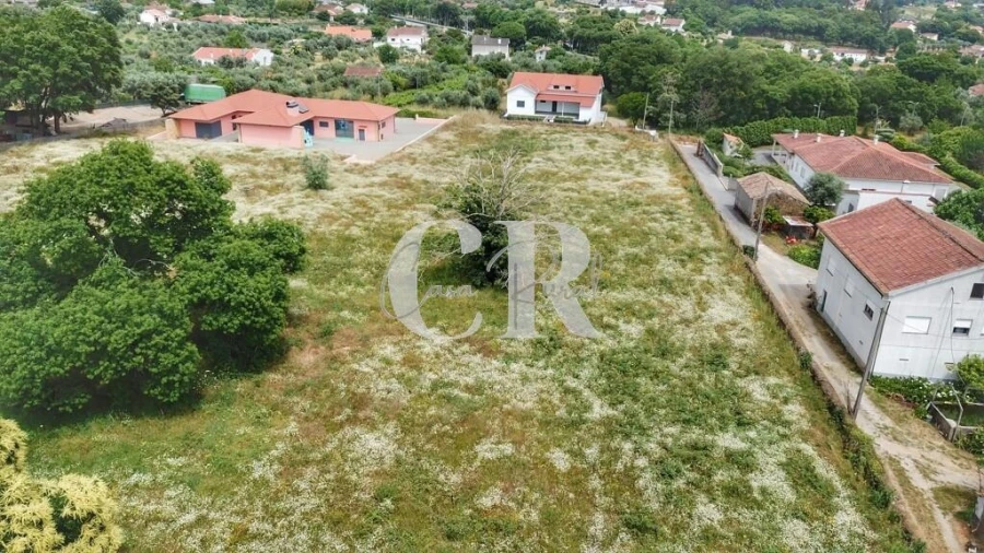 Terreno para Venda em Figueiró dos Vinhos e Bairradas Foto 2