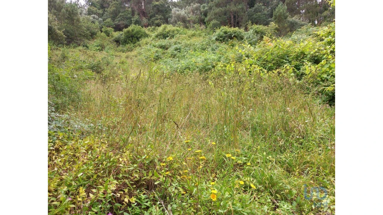 Terreno para Venda em Santo Isidoro Foto 5