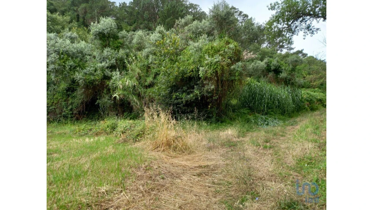 Terreno para Venda em Santo Isidoro Foto 1