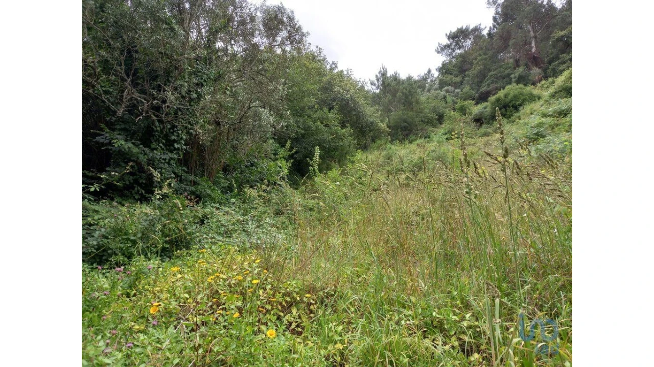 Terreno para Venda em Santo Isidoro Foto 11