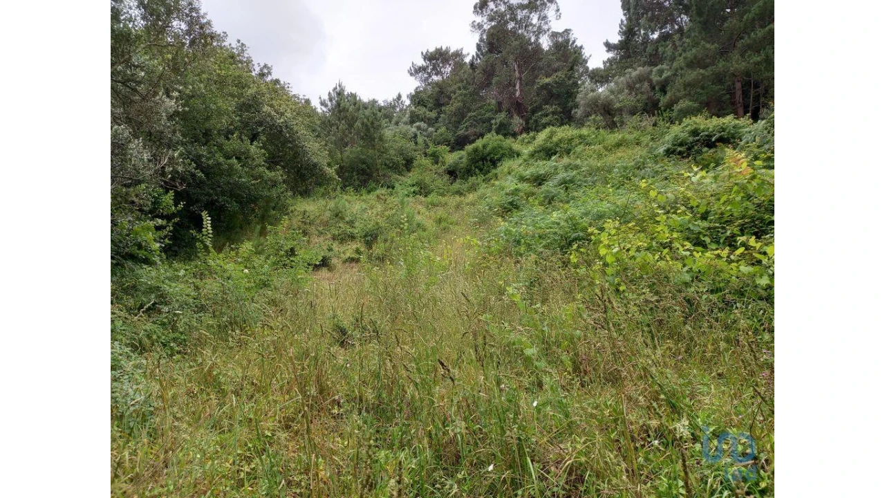 Terreno para Venda em Santo Isidoro Foto 6
