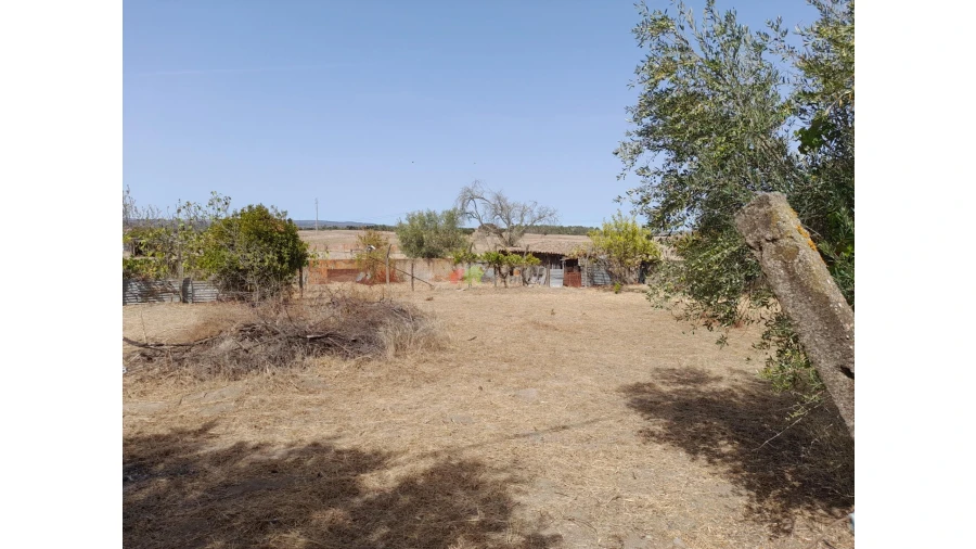 Moradia T4 para Venda em Campo e Campinho Foto 5