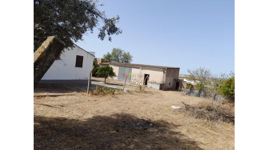 Moradia T4 para Venda em Campo e Campinho Foto 6