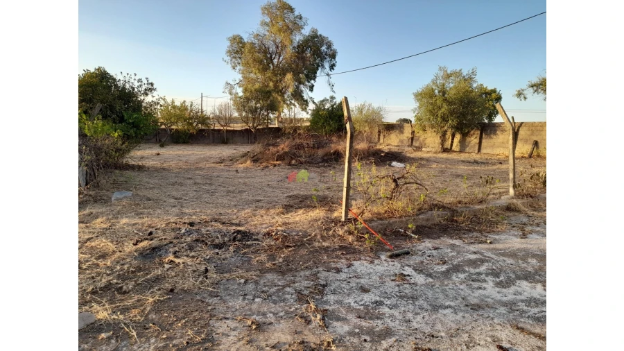 Moradia T4 para Venda em Campo e Campinho Foto 13