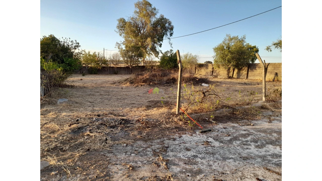 Moradia T4 para Venda em Campo e Campinho Foto 13