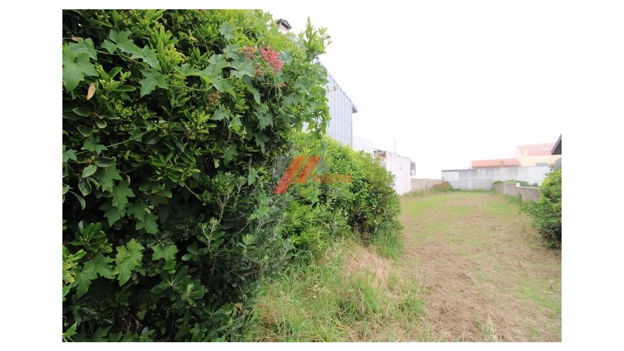 Terreno para Venda em Perafita, Lavra e Santa Cruz do Bispo Foto 1