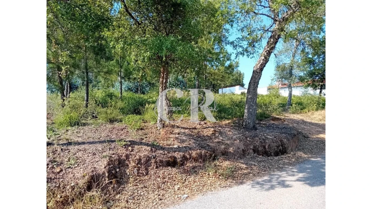 Terreno para Venda em Figueiró dos Vinhos e Bairradas Foto 2