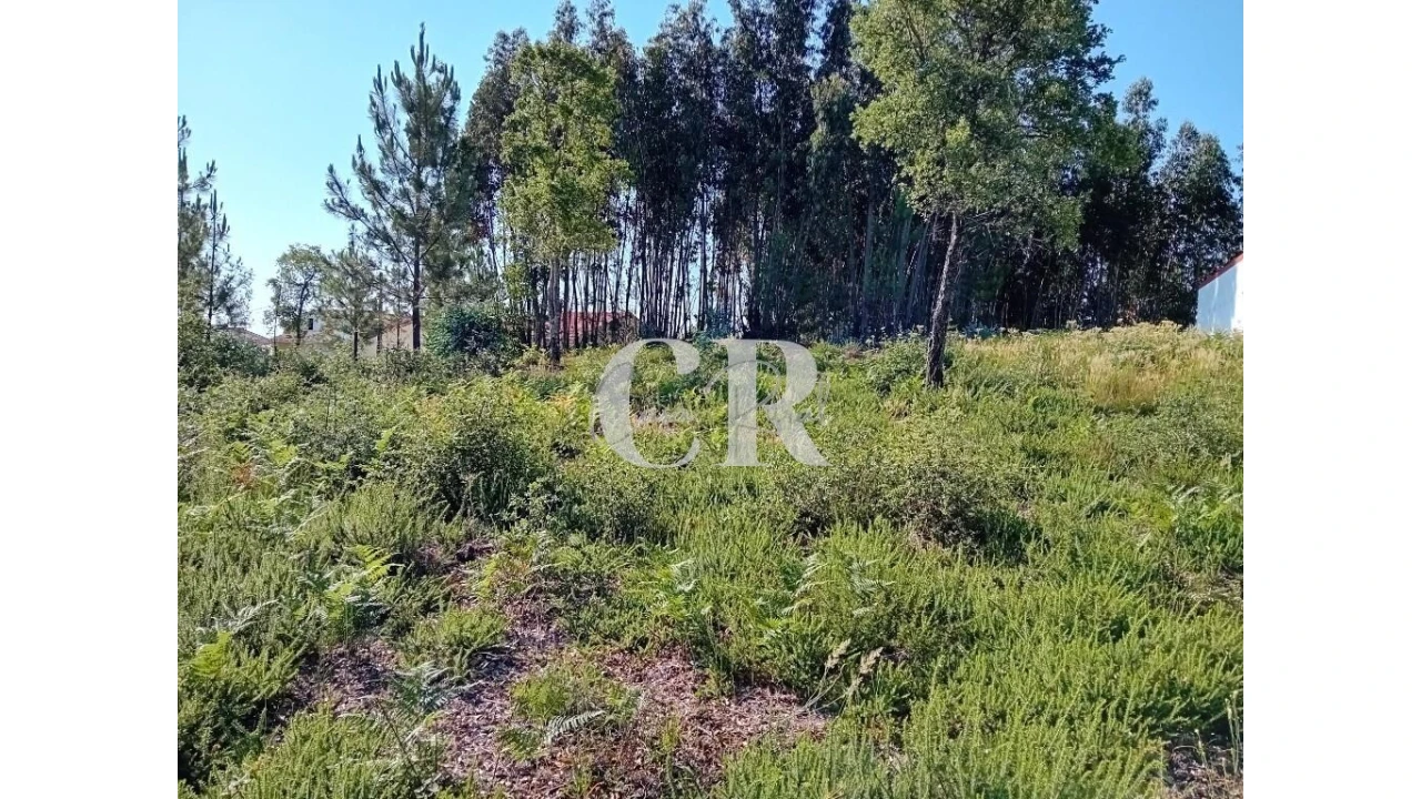 Terreno para Venda em Figueiró dos Vinhos e Bairradas Foto 4
