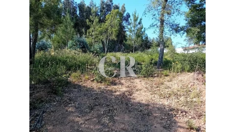Terreno para Venda em Figueiró dos Vinhos e Bairradas