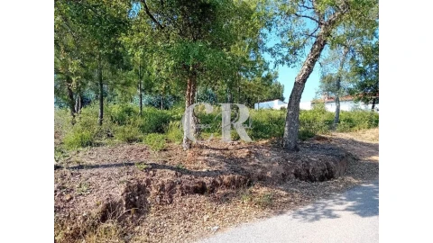 Terreno para Venda em Figueiró dos Vinhos e Bairradas