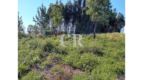 Terreno para Venda em Figueiró dos Vinhos e Bairradas