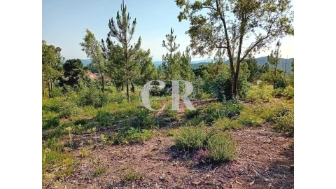 Terreno para Venda em Figueiró dos Vinhos e Bairradas