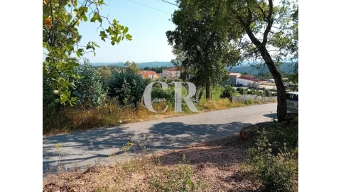 Terreno para Venda em Figueiró dos Vinhos e Bairradas